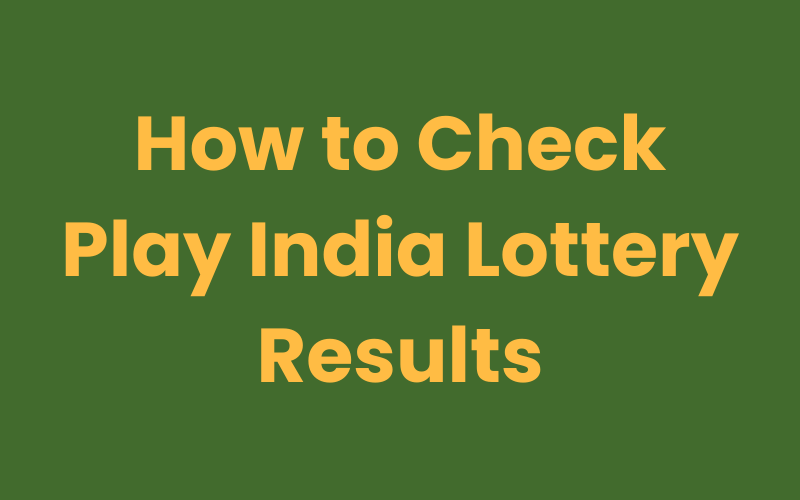 how to check play india lottery results