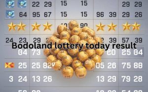 bodoland lottery today result